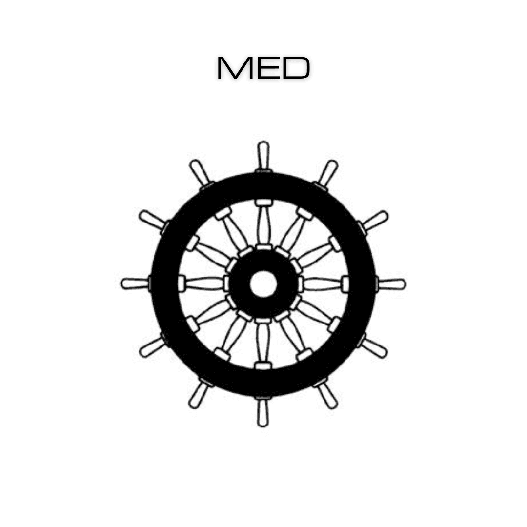 DR-100 VDR 4